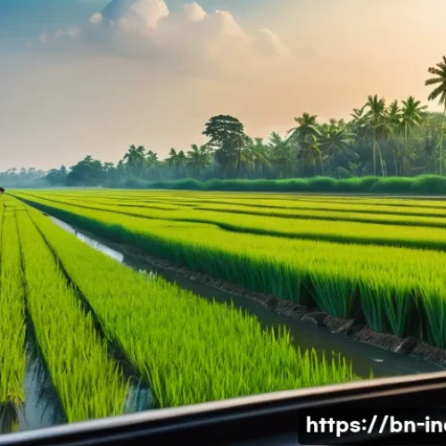 Home 11 기차 여행으로 본 인도 시골 풍경 - A serene rural landscape viewed through a train window, showcasing vast, lush green paddy fields str...