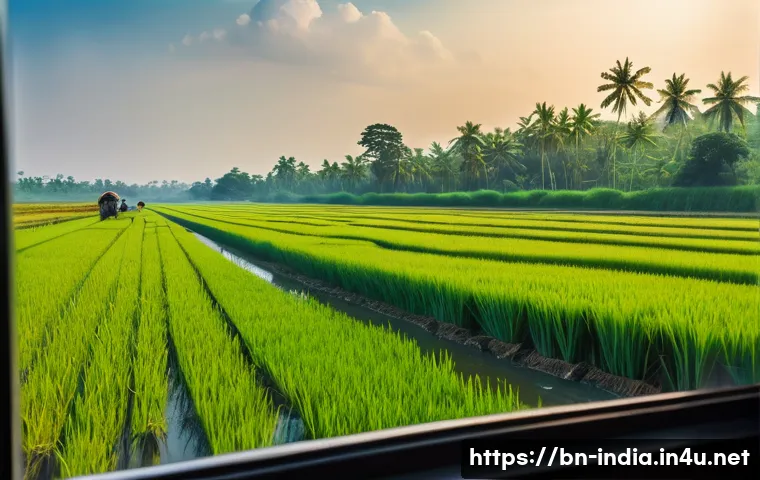 기차 여행으로 본 인도 시골 풍경 - A serene rural landscape viewed through a train window, showcasing vast, lush green paddy fields str...